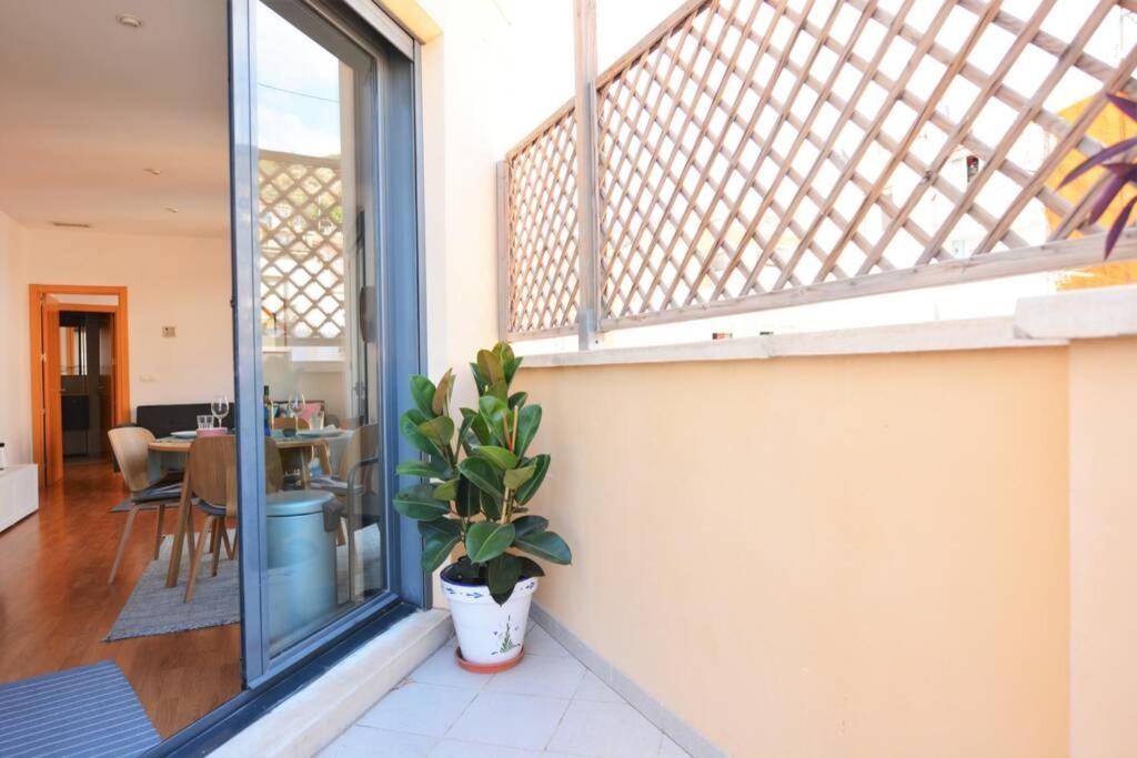 דירות אליקאנטה Penthouse In Old City Center By Nras מראה חיצוני תמונה